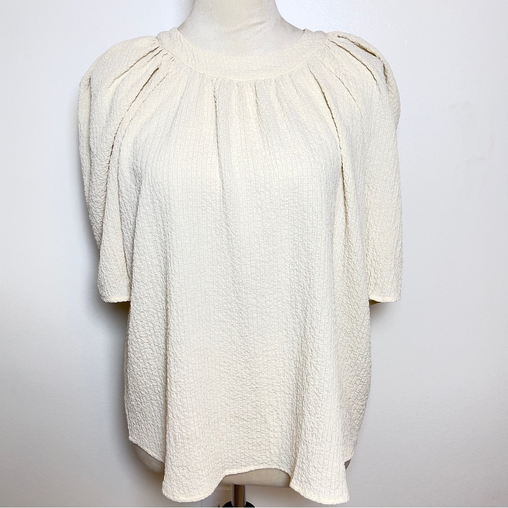 Calvin Klein Textured Ivory Blouse Women’s Small Puff Sleeve Crinkle Crepe Top